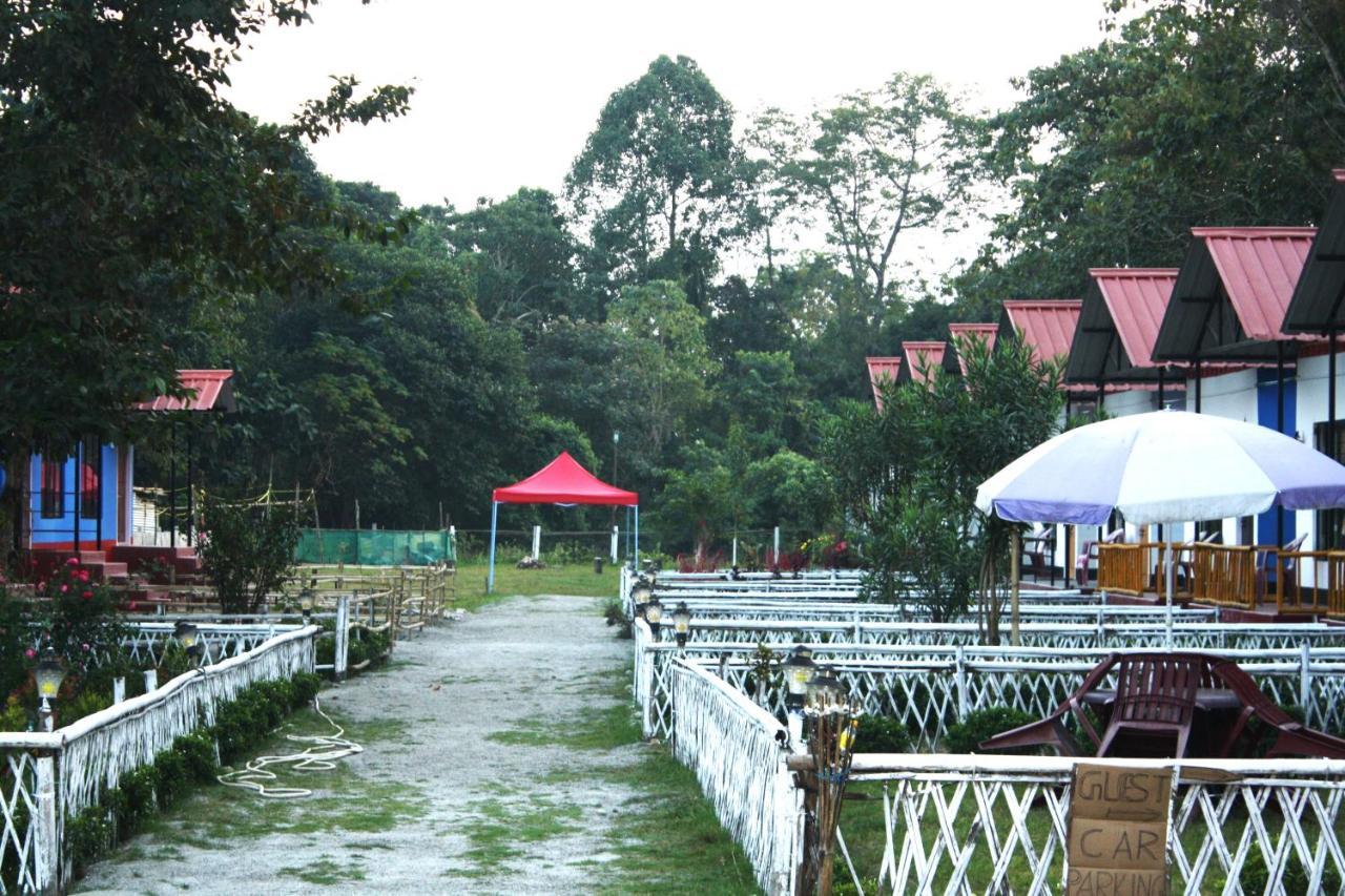 Hotel Eagle Nest Eco Retreat Jyoti Gaon Exteriér fotografie